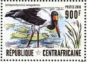 Saddle-billed Stork (Ephippiorhynchus senegalensis)
